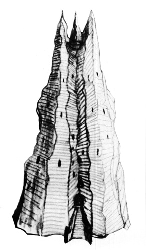 [http://www.tolkien.ru/texts/eng/pbjrrt/]